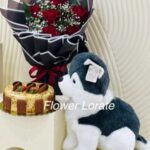 Cake, roses bouquet & cat soft toy